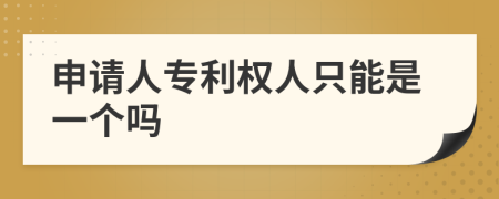 申请人专利权人只能是一个吗