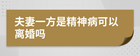 夫妻一方是精神病可以离婚吗