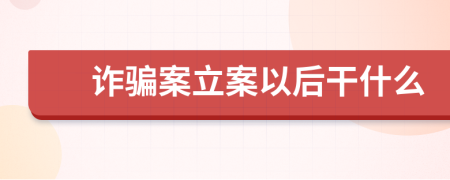 诈骗案立案以后干什么