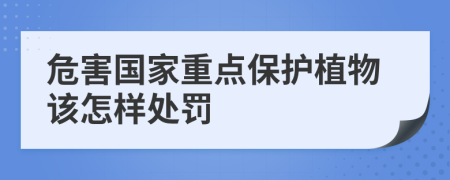 危害国家重点保护植物该怎样处罚