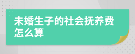 未婚生子的社会抚养费怎么算