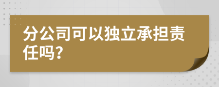 分公司可以独立承担责任吗？