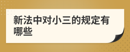 新法中对小三的规定有哪些