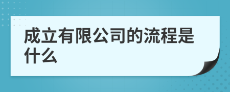 成立有限公司的流程是什么