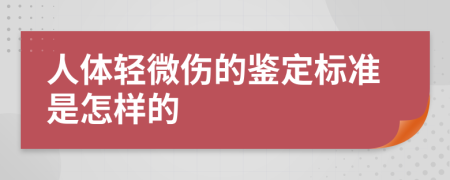 人体轻微伤的鉴定标准是怎样的