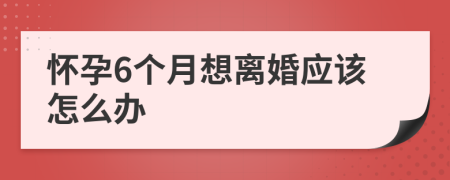 怀孕6个月想离婚应该怎么办