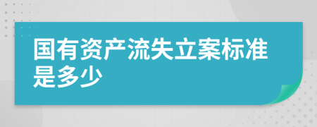 国有资产流失立案标准是多少