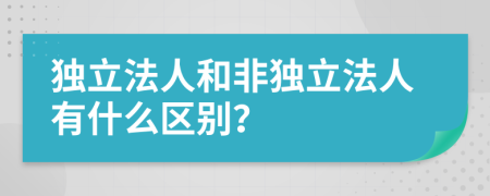 独立法人和非独立法人有什么区别？