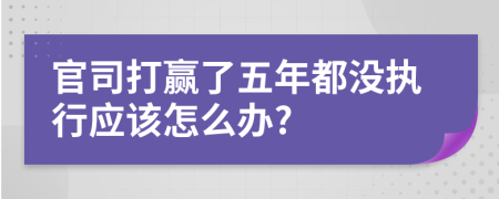 官司打赢了五年都没执行应该怎么办?