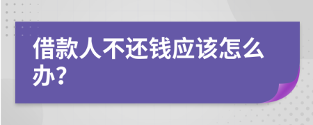 借款人不还钱应该怎么办？