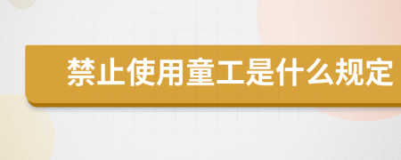 禁止使用童工是什么规定