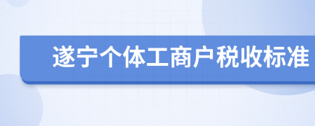 遂宁个体工商户税收标准