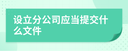 设立分公司应当提交什么文件