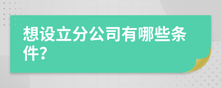 想设立分公司有哪些条件？