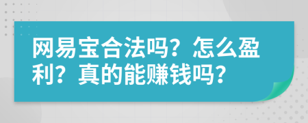 网易宝合法吗？怎么盈利？真的能赚钱吗？