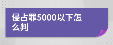 侵占罪5000以下怎么判