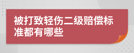 被打致轻伤二级赔偿标准都有哪些