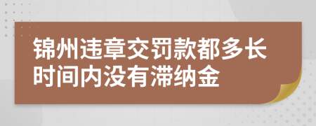 锦州违章交罚款都多长时间内没有滞纳金