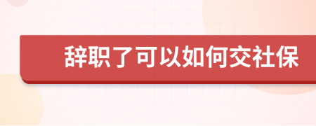 辞职了可以如何交社保