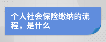 个人社会保险缴纳的流程，是什么