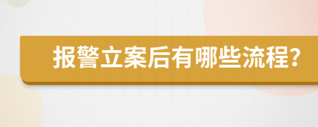 报警立案后有哪些流程？