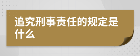 追究刑事责任的规定是什么