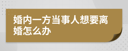 婚内一方当事人想要离婚怎么办