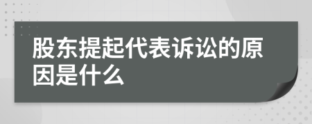 股东提起代表诉讼的原因是什么