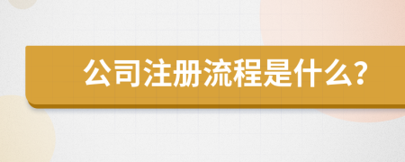 公司注册流程是什么？