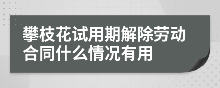 攀枝花试用期解除劳动合同什么情况有用