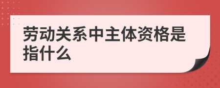 劳动关系中主体资格是指什么