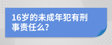 16岁的未成年犯有刑事责任么？