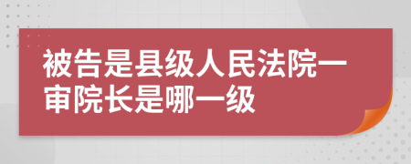 被告是县级人民法院一审院长是哪一级