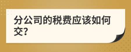 分公司的税费应该如何交？