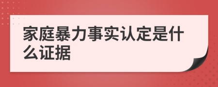 家庭暴力事实认定是什么证据