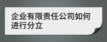 企业有限责任公司如何进行分立