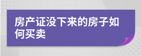 房产证没下来的房子如何买卖