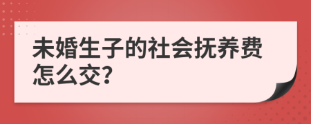 未婚生子的社会抚养费怎么交？