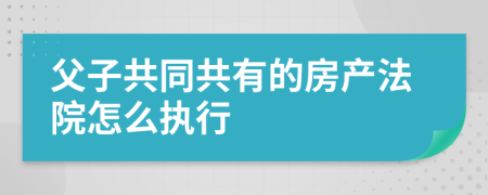 父子共同共有的房产法院怎么执行