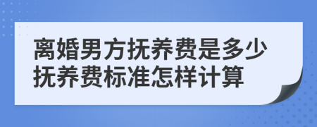 离婚男方抚养费是多少抚养费标准怎样计算