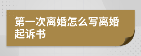 第一次离婚怎么写离婚起诉书