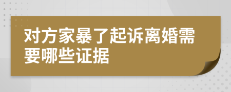 对方家暴了起诉离婚需要哪些证据