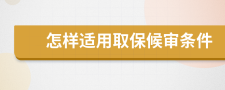 怎样适用取保候审条件