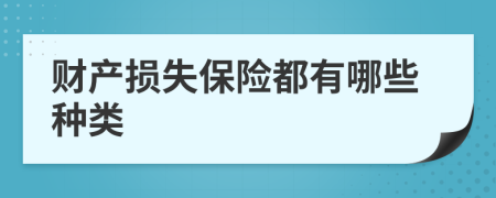 财产损失保险都有哪些种类