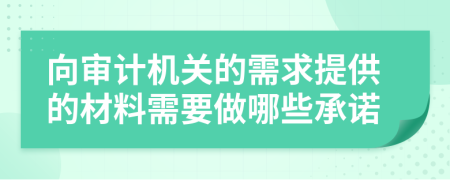 向审计机关的需求提供的材料需要做哪些承诺