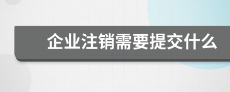 企业注销需要提交什么