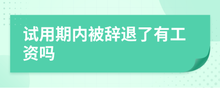 试用期内被辞退了有工资吗