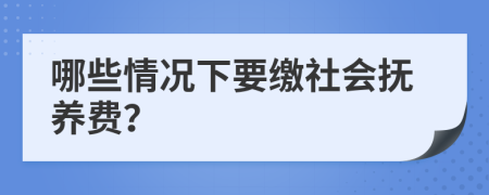 哪些情况下要缴社会抚养费？