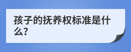 孩子的抚养权标准是什么？