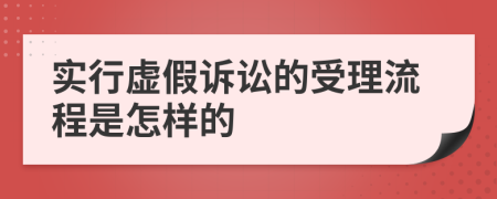 实行虚假诉讼的受理流程是怎样的